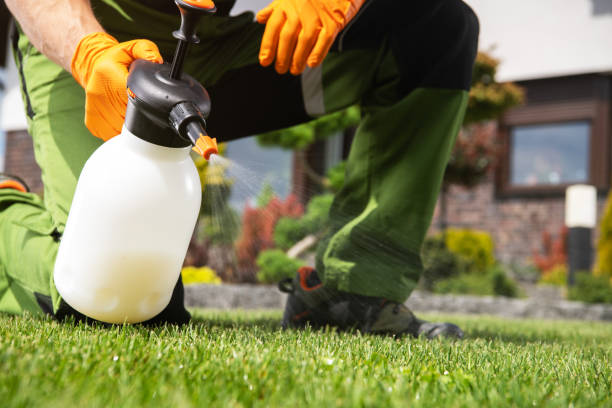 Best Pest Removal Services  in Ferdand, IN