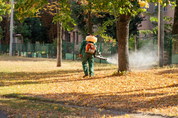 Best Pest Control for Homes  in Ferdand, IN